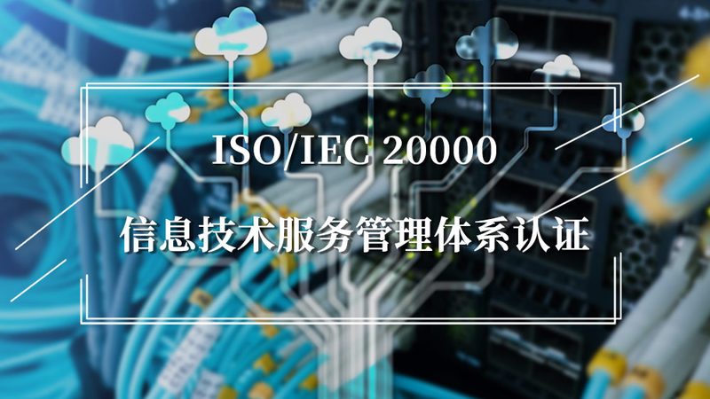 IT外包服务标准：揭秘企业稳定发展的关键