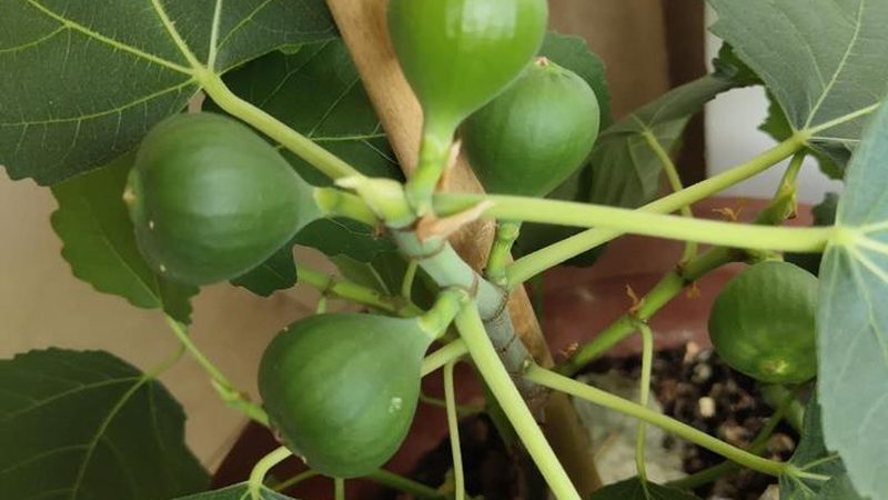 附近弱电安装师傅电话多少